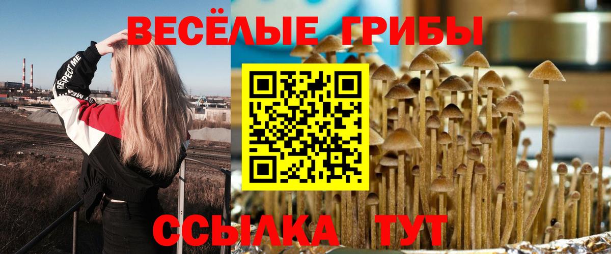 Галлюциногенные грибы мухоморы  Вход с VPN  хочу наркоту  Гуково 